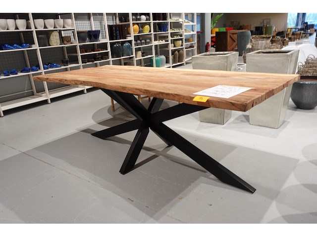 Indoor boomstamtafel - afbeelding 5 van  7