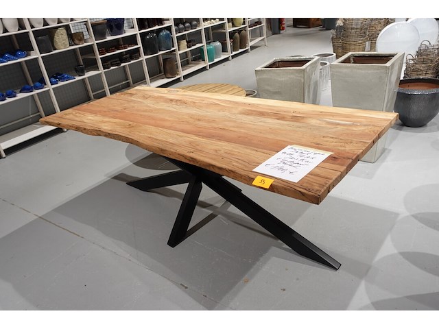 Indoor boomstamtafel - afbeelding 6 van  7