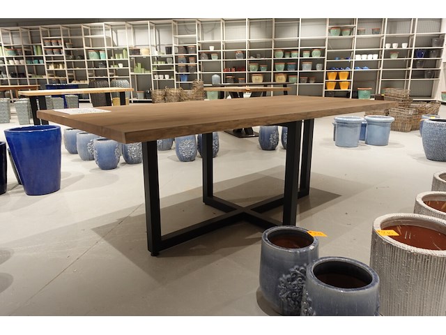 Indoor boomstamtafel - afbeelding 3 van  5