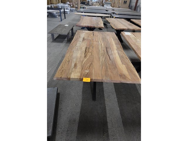 Indoor boomstamtafel - afbeelding 1 van  4