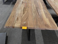 Indoor boomstamtafel