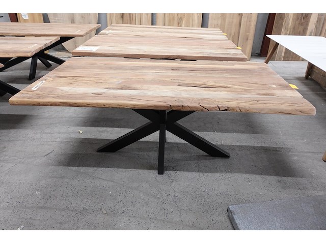 Indoor boomstamtafel - afbeelding 2 van  4