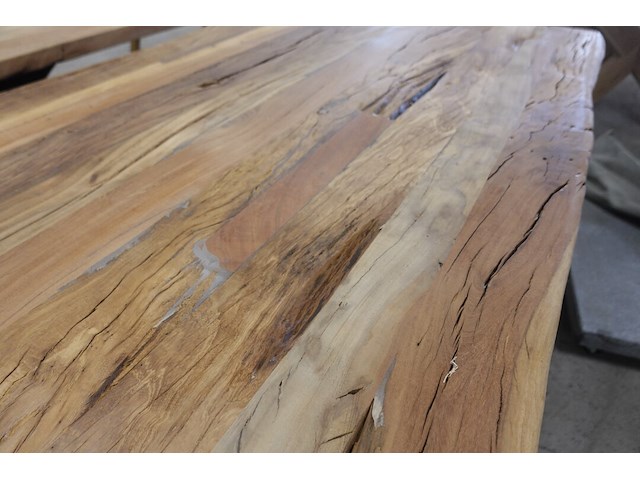 Indoor boomstamtafel - afbeelding 3 van  4