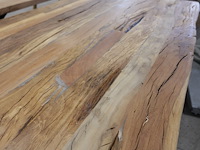 Indoor boomstamtafel - afbeelding 3 van  4