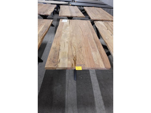 Indoor boomstamtafel - afbeelding 1 van  4