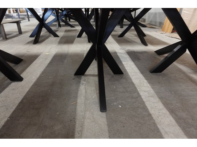 Indoor boomstamtafel - afbeelding 2 van  4