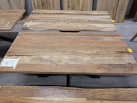 Indoor boomstamtafel - afbeelding 3 van  4