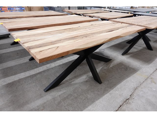 Indoor boomstamtafel - afbeelding 3 van  4