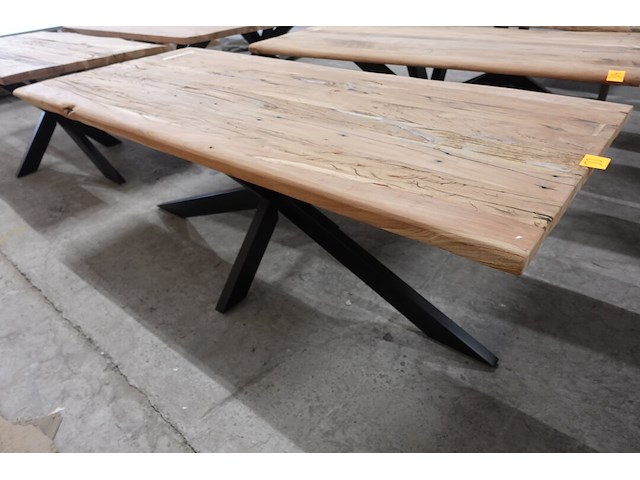 Indoor boomstamtafel - afbeelding 2 van  3