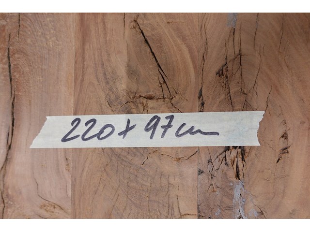 Indoor boomstamtafel - afbeelding 3 van  3