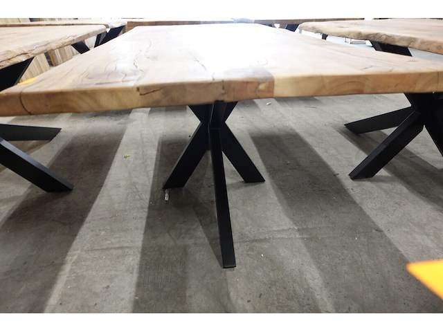 Indoor boomstamtafel - afbeelding 2 van  4