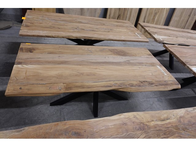 Indoor boomstamtafel - afbeelding 3 van  4