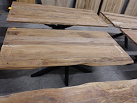 Indoor boomstamtafel - afbeelding 3 van  4