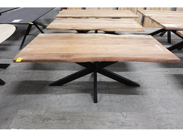 Indoor boomstamtafel - afbeelding 2 van  3