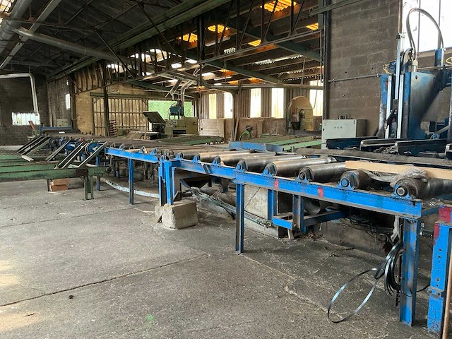 Industriële boomstamzaaglijn - afbeelding 10 van  33