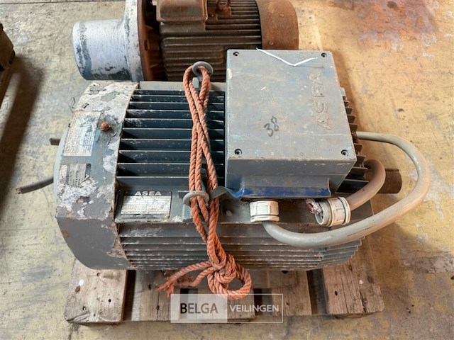 Industriële elektromotor asea - afbeelding 3 van  6