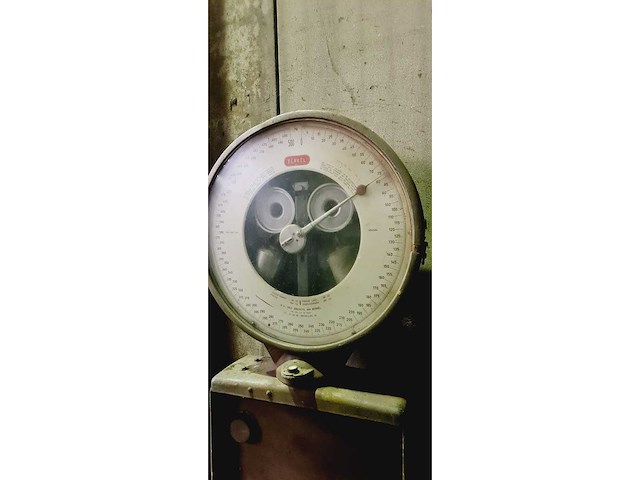 Industriële schaal berkel 500kg - afbeelding 9 van  13