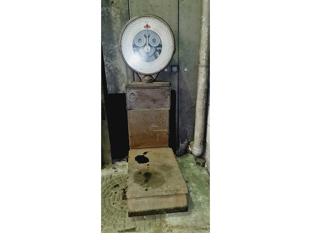 Industriële schaal berkel 500kg - afbeelding 12 van  13