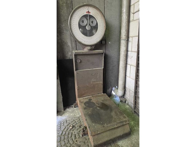 Industriële schaal berkel 500kg - afbeelding 1 van  13