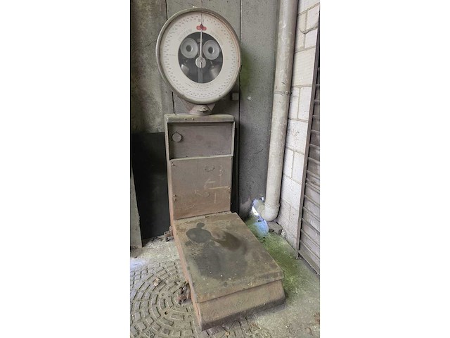 Industriële schaal berkel 500kg - afbeelding 3 van  13