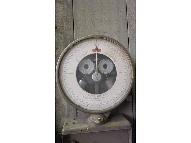 Industriële schaal berkel 500kg - afbeelding 8 van  13