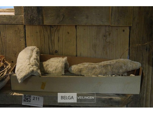 Inhoud blad - afbeelding 4 van  4