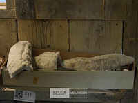 Inhoud blad - afbeelding 4 van  4