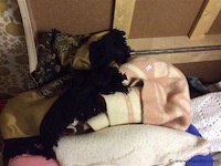 Inhoud dekenkist - afbeelding 2 van  3