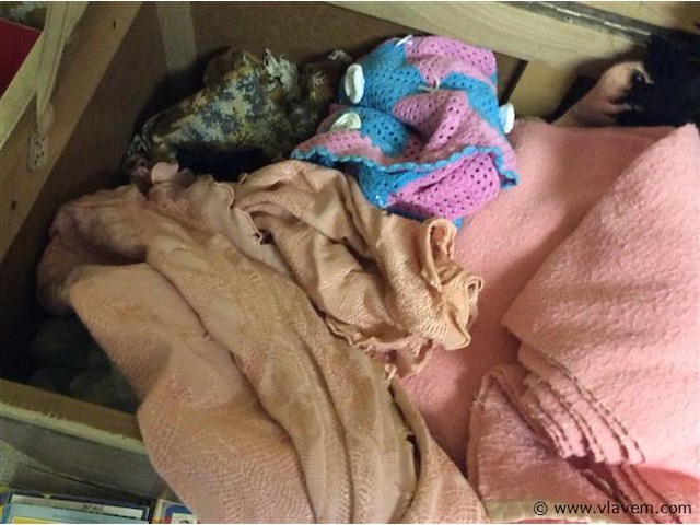 Inhoud dekenkist - afbeelding 3 van  3