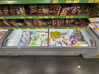 Inhoud diepvries: partij diepvriesproducten