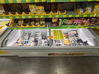 Inhoud diepvries: partij diepvriesproducten