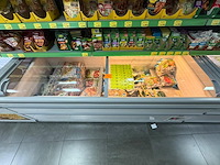 Inhoud diepvries: partij pierogi en diepvriesgerechten