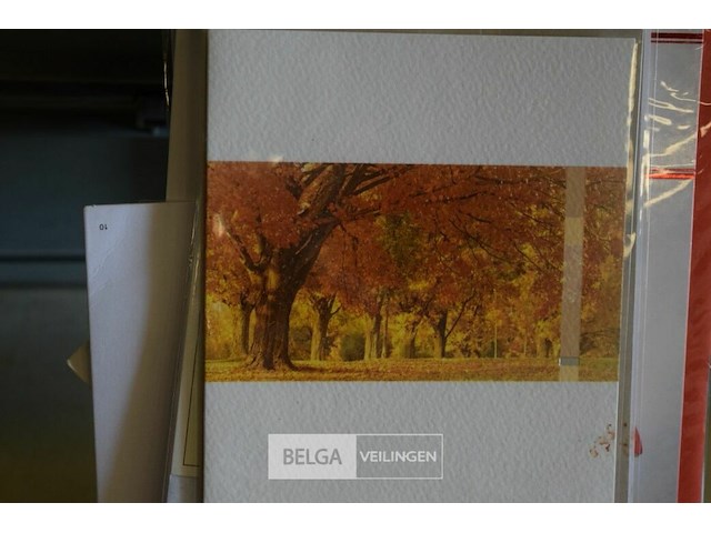 Inhoud korf partij div. wenskaarten - afbeelding 5 van  6