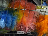 Inhoud korf - afbeelding 5 van  6