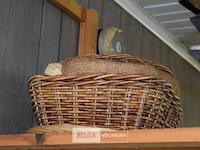 Inhoud legger - afbeelding 3 van  3