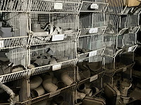 Inhoud magazijn op platform - afbeelding 8 van  8