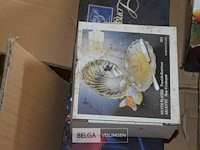 Inhoud pallet div. - afbeelding 4 van  7