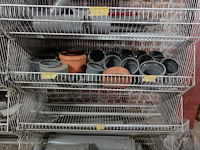 Inhoud rek + koppelstukken - afbeelding 4 van  8