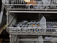 Inhoud rek + koppelstukken - afbeelding 8 van  8