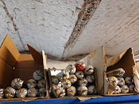 Inhoud rek - afbeelding 4 van  12