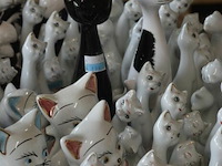 Inhoud tafel - afbeelding 5 van  5