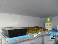 Inhoud van de plank - afbeelding 6 van  21