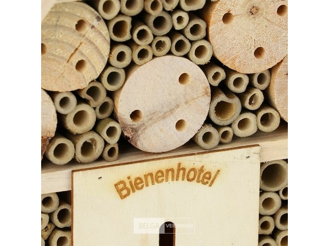 Insektenhotel - afbeelding 4 van  7