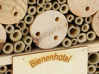 Insektenhotel - afbeelding 4 van  7