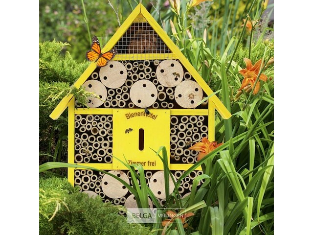 Insektenhotel - afbeelding 5 van  7