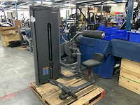 Insight commercial lower back krachtstation - afbeelding 1 van  6