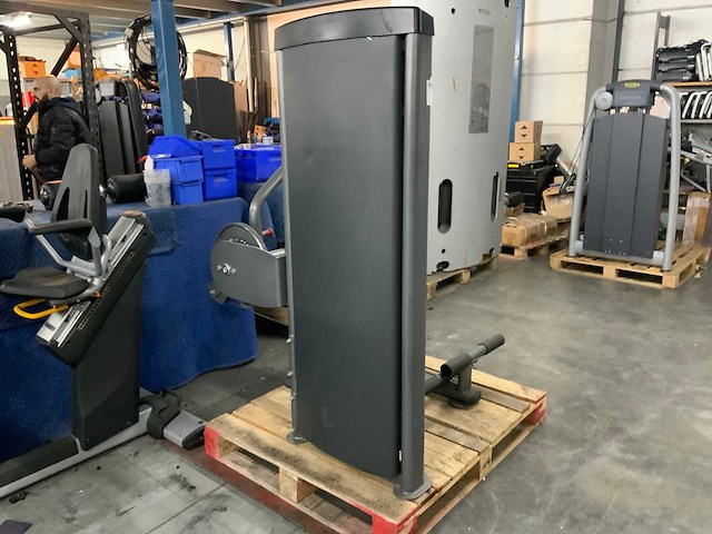 Insight commercial lower back krachtstation - afbeelding 5 van  6