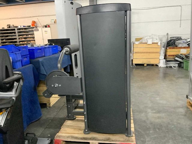 Insight commercial lower back krachtstation - afbeelding 6 van  6