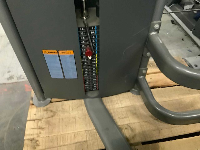 Insight commercial lower back krachtstation - afbeelding 3 van  6