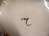 Italiaanse soepterrine - afbeelding 5 van  7